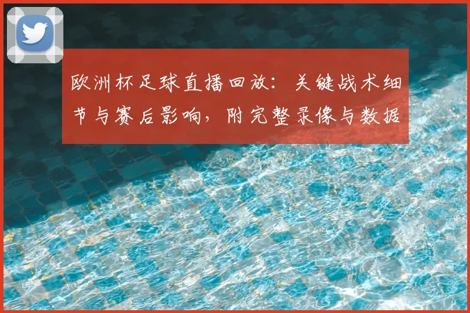 欧洲杯足球直播回放：关键战术细节与赛后影响，附完整录像与数据解读