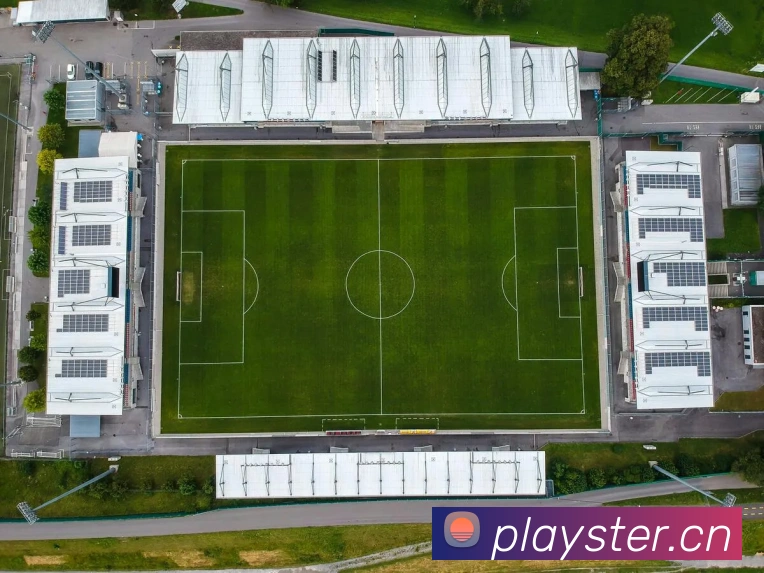 mk恩波利体育平台生态图